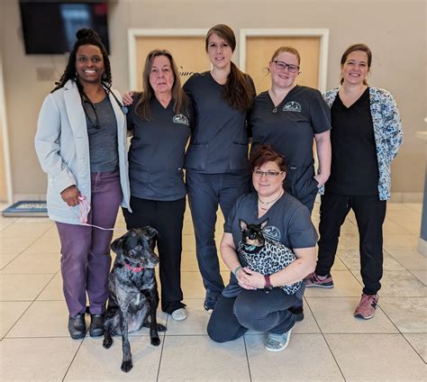 Mt airy animal hospital - Mt Airy Animal Hospital. 114 E Mount Airy Avenue, Philadelphia, PA 19119. $100,000 - $160,000 a year - Full-time. Apply now. Profile insights Find out how your skills align with the job description. ... We are privately-owned, with two locations. One in the beautiful Mt Airy section of Philadelphia and the other in Lafayette Hill, …
